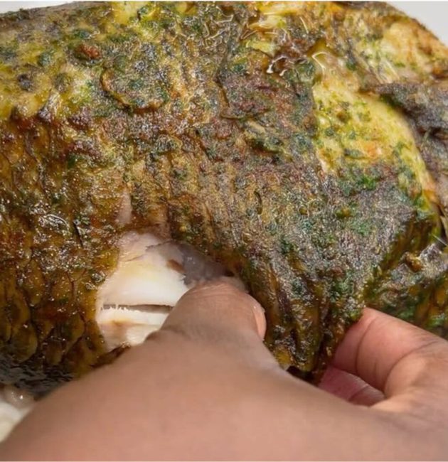 Poisson Frit